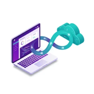 WordPress REST API integration service — custom third-party connection with authentication